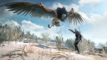 Игра Ведьмак 3: Дикая Охота (The Witcher 3: Wild Hunt) + Dark Souls 3 (III) Русская Версия (PS4) Playstation 4