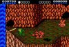   (Battletoads)   (8 bit)   