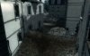Brothers in Arms: Earned in Blood (PS2) USED Б/У