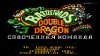      (Battletoads and Double Dragon)   (16 bit) 