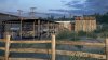 The Walking Dead (Ходячие мертвецы) Survival Instinct (Инстинкт выживания) Русская Версия (Xbox 360) USED Б/У