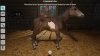 My Life: Farm Vet Русская Версия (PS5)