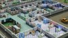 Игра Two Point Hospital Русская Версия (PS4) Playstation 4