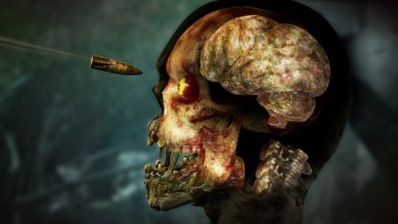 Zombie Army 4: Dead War   (Xbox One) 