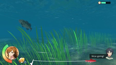 игра Reel Fishing: Days of Summer (Switch) для Nintendo Switch