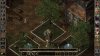 Baldur's Gate 2 (II): Enhanced Edition (PC) 