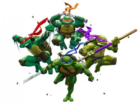  TMNT Teenage Mutant Ninja Turtles ( ): Arcade Attack (DS)  Nintendo DS