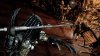 Купить игру Aliens vs Predator (Чужой против Хищника) Русская Версия (PS3) для Sony Playstation 3
