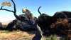 Cabela's Big Game Hunter 2012 (Xbox 360)