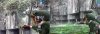 Wii Компонентный + композит AV кабель (Component Cable HDTV + AV Cable) (Wii)