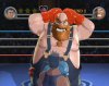   Punch-Out! (Wii/WiiU)  Nintendo Wii 