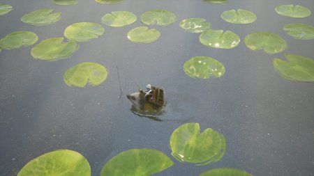 игра Bramble: The Mountain King Русская Версия (Switch) для Nintendo Switch