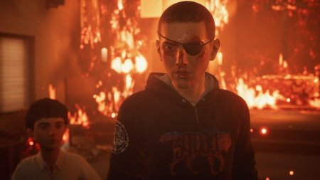 Игра Life is Strange 2 Коллекционное издание (Collector’s Edition) Русская Версия (PS4) Playstation 4