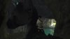 Игра The Last Guardian. Последний хранитель (PS4) Playstation 4