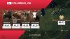 Игра 8 To Glory: Bull Riding (PS4) Playstation 4