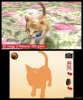Купить игру Nintendogs + Cats: Карликовый пудель и новые друзья. Русская Версия (Nintendo 3DS) на 3DS