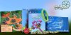 Игра Theme Park Simulator Коллекционное издание (Collector's Edition) (PS4) Playstation 4