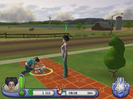 The Sims 2: Pets (Питомцы) (PS2) USED Б/У