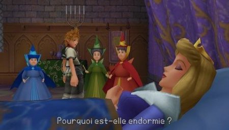 Kingdom Hearts Birth by Sleep   (PSP) 