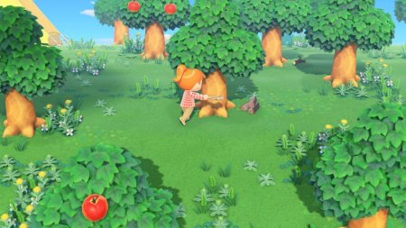 Animal Crossing: New Horizons Русская Версия (Switch 2)