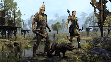 Игра The Elder Scrolls Online: Blackwood Collection (PS4) Playstation 4