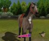Купить игру Pony Friends 2 (Wii/WiiU) на Nintendo Wii диск
