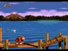   (Donkey Kong)   (16 bit) 