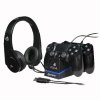  Стартовый набор с игровой стереогарнитурой (Stereo Gaming Headset Starter Kit) (PS4) 