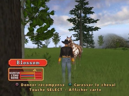 Let's Ride!: Silver Buckle Stables (PS2)