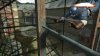 Первый мститель: Супер солдат (Captain America: Super Soldier) с поддержкой 3D (Xbox 360)
