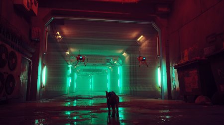 Игра Stray Русская Версия (PS4/PS5) Playstation 4