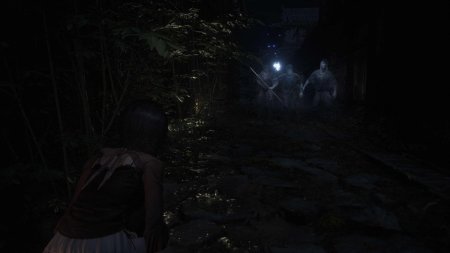 Fatal Frame II (2) Crimson Butterfly Remake (Game-Key Card) (Switch 2)