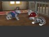 Catz (PS2) USED Б/У