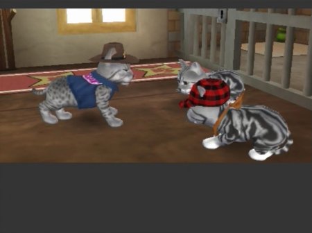 Catz (PS2) USED Б/У