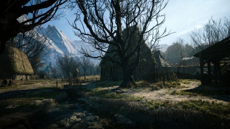 The Blood of Dawnwalker (PS5)