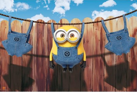   ABYstyle:     (King Bob Laundry)  (Minions) (ABYDCO511) 91,5 