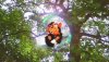  EyePet Приключения (Требуется камера GoCam) Русская Версия (PSP) USED Б/У 