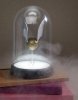   Paladone:   (Harry Potter)      (Bell Jar Light Golden Snitch) 20 