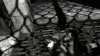 Velvet Assassin (Xbox 360) USED Б/У