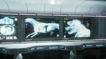 игра Apsulov: End of Gods (Switch) для Nintendo Switch