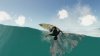 Barton Lynch Pro Surfing (PS5)