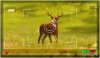  Cabela's North American Adventures (PSP) 