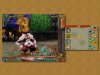 Купить игру Final Fantasy Crystal Chronicles: Echoes of Time (Wii/WiiU) на Nintendo Wii диск