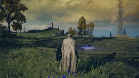 Игра Elden Ring (PS4/PS5) Playstation 4