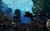 Игра Call of Duty: Ghosts Free Fall Edition (PS4) Playstation 4