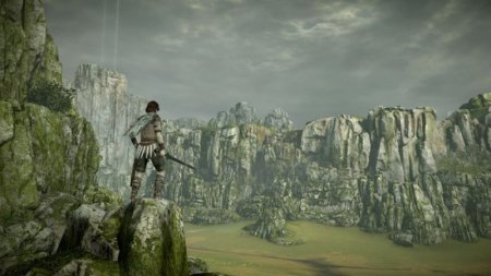  Shadow of the Colossus.      (PS4) Playstation 4