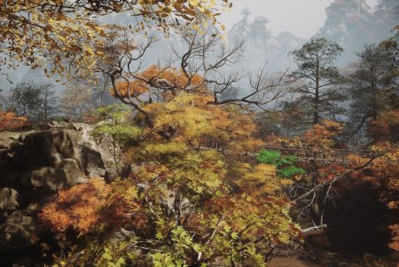 Black Myth: Wukong Deluxe Edition Русская Версия (PS5)