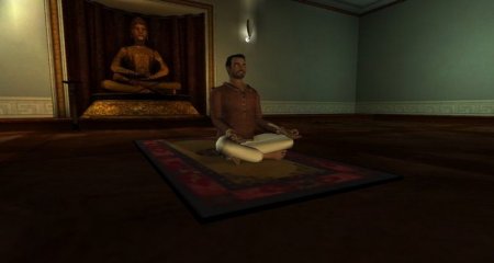   Yoga () (Wii/WiiU)  Nintendo Wii 
