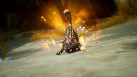 Warrior Cats: Clans of the Forest Feral Edition (PS5)