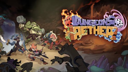 игра Dungeons of Aether (Limited Run #200) (Switch) для Nintendo Switch